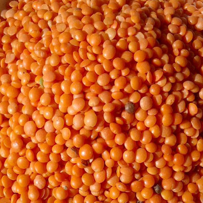 color sorter machine manufacturers in india