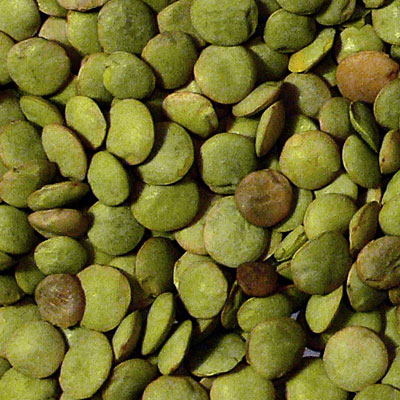 color sorter machine manufacturers in india