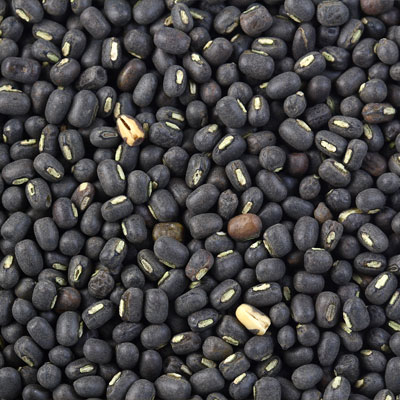 color sorter machine manufacturers in india