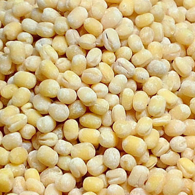 color sorter machine manufacturers in india