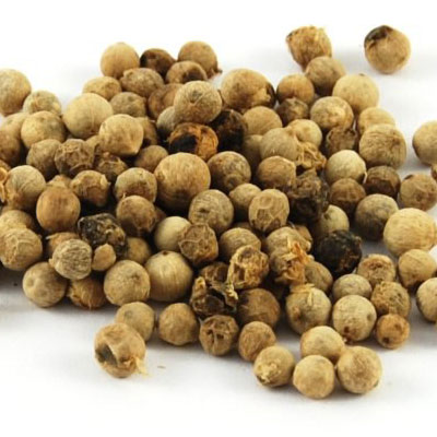 rice sorter manufacturer