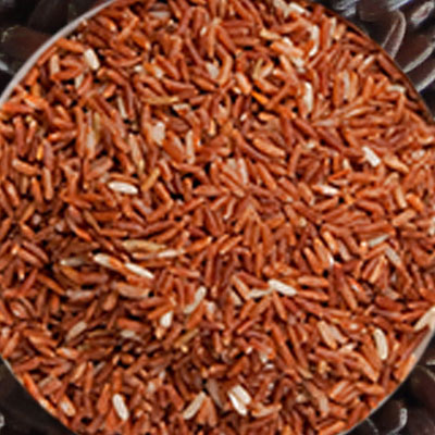 best rice sorter machine in india