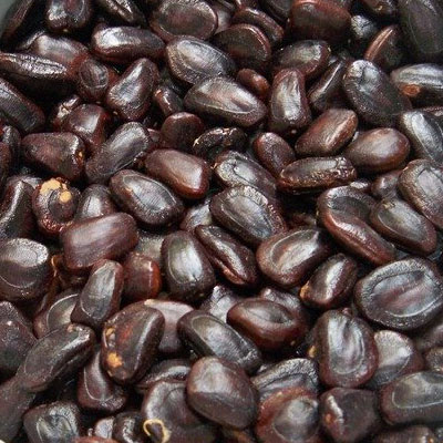 best rice sorter machine in india