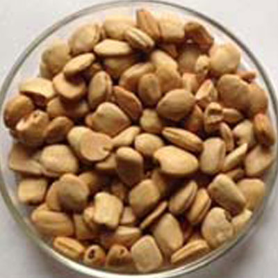 best rice sorter machine in india