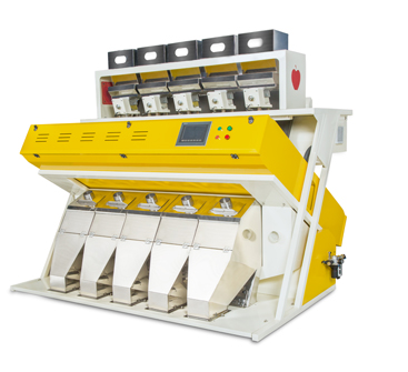 best rice sorter machine in india