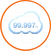 best rice sorter machine in india